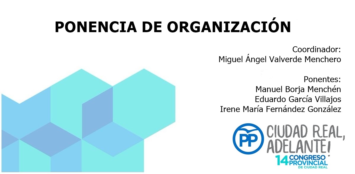 Ponencia organización